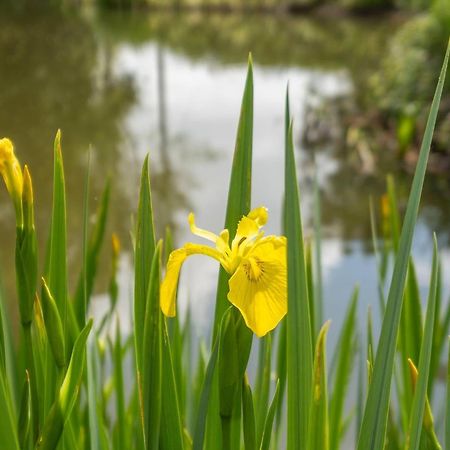 East Green Farm Cottages - The Granary サックスマンダム エクステリア 写真