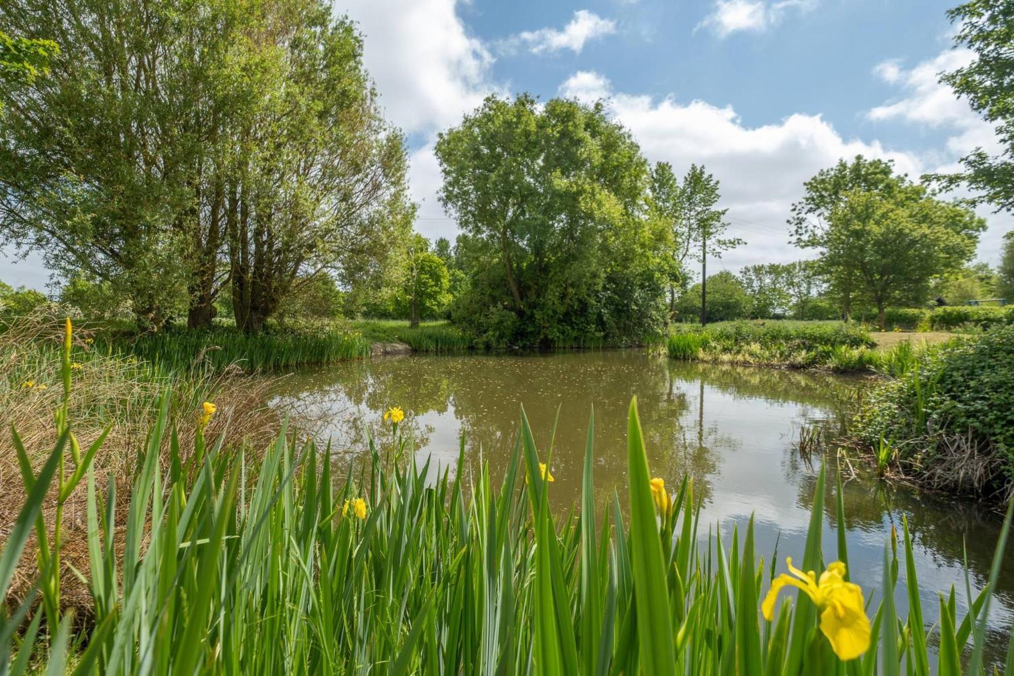 East Green Farm Cottages - The Granary サックスマンダム エクステリア 写真